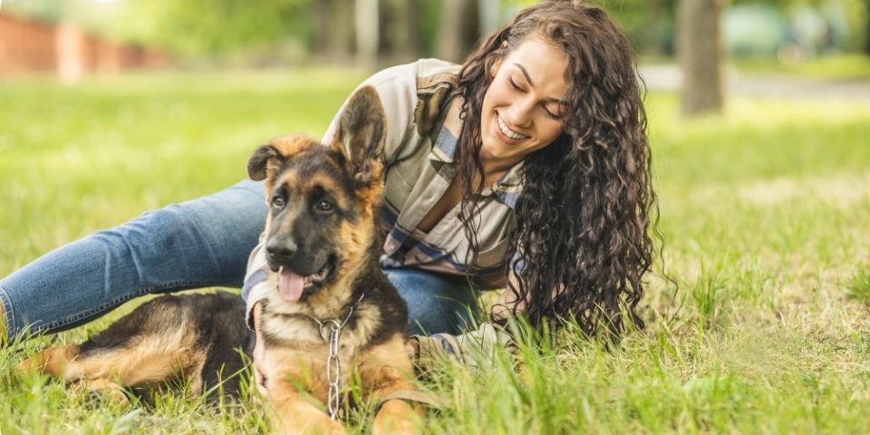 Dog Parks and Beaches
