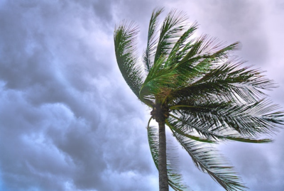Florida's rising insurance costs due to hurricanes.